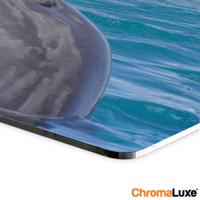 Foto op aluminium afdrukken - Wit (ChromaLuxe) - 80 x 30 cm