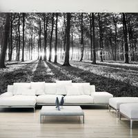 Zelfklevend fotobehang - Grijze Wildernis, Bos, 490x280cm, premium print - thumbnail
