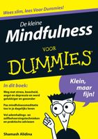 Voor Dummies - De kleine Mindfulness voor dummies - thumbnail