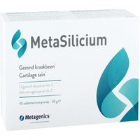 MetaSilicium - thumbnail