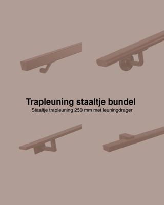 Set staaltjes trapleuningen brons