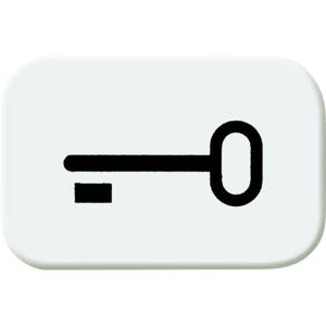 Busch-Jaeger 2525 TR-214 Symbool voor knop sleutel Afdekking Busch-balance SI Alpine-wit 1 stuk(s)