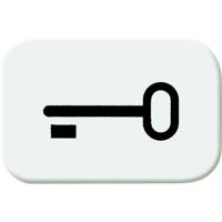 Busch-Jaeger 2525 TR-214 Symbool voor knop sleutel Afdekking Busch-balance SI Alpine-wit 1 stuk(s)