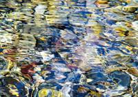 Kunstdruk Ortwin Klipp - Liquids 1 100x70cm