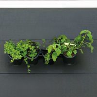 Nature wandtuin voor kruiden en bloemen verticaal