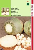 Koolraap Wilhelmsburger Type Friese - Hortitops