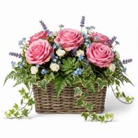 VD Leeden Plantenmand Klassiek - bruin - rechthoek - 39 x 39 x 20 cm - rotan - gevlochten riet