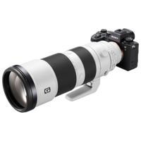 Sony A9 II + 200-600mm FE F/5.6-6.3 G OSS