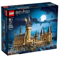 LEGO HARRY POTTER 71043 KASTEEL VAN HOGWART - thumbnail