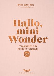 Hallo, mini wonder (Hardback)
