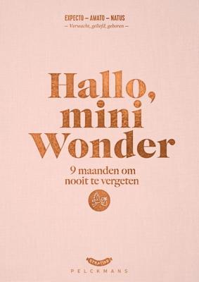 Hallo, mini wonder (Hardback)