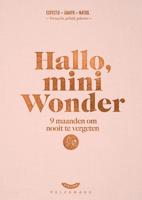 Hallo, mini wonder (Hardback)