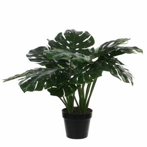 Groene Monstera/gatenplant kunstplanten 60 cm met zwarte pot   -