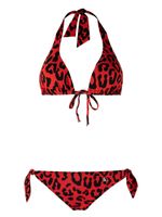 Dolce & Gabbana bikini à imprimé léopard - Rouge - thumbnail