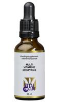Multi vitamine druppels 30 Milliliter