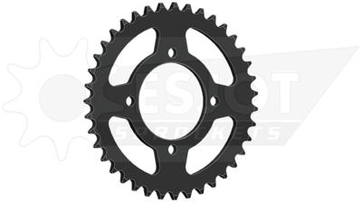 ESJOT Chain wheel 420 41z steel black