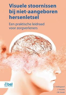Visuele stoornissen bij niet-aangeboren hersenletsel (Paperback)