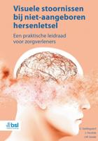 Visuele stoornissen bij niet-aangeboren hersenletsel (Paperback)