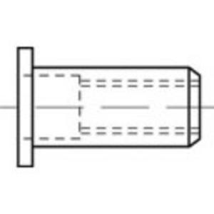 TOOLCRAFT TO-5444226 Popmoer M4 Staal 500 stuk(s)