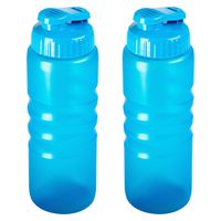 Drinkfles/waterfles/bidon met druksluiting - 2x stuks - 650 ml - transparant/blauw - kunststof