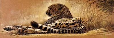 Kunstdruk Renato Casaro - Little rest 99x34cm