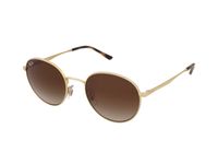 Zonnebrillen Ray-Ban RB3681 001/13
