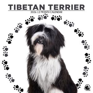 Tibetaanse Terrier Kalender 2026