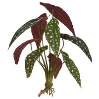 Begonia Maculata kunstplant 35cm - thumbnail