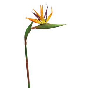 Kunstbloem Strelitzia/paradijsvogelplant - 58 cm - losse steel - kunst zijdebloem