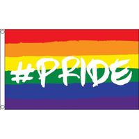 LGBT vlag in regenboogkleuren 90 x 150 cm hashtag pride   -