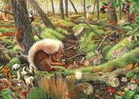 Save our Squirrels Puzzel 1000 Stukjes