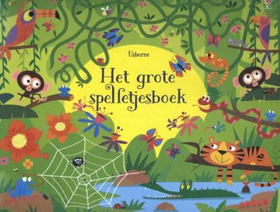 Het grote spelletjesboek (Paperback)