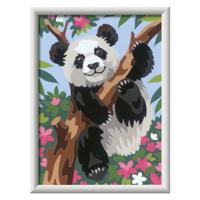 Ravensburger Creart schilderen op nummer - speelse panda Ravensburger Creart schilderen op nummer - speelse panda