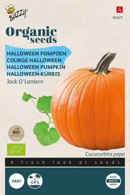 Organic Pompoen Jack O'Lantern (BIO) - Buzzy