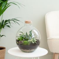 Terrarium Vipava