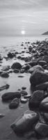 Kunstdruk Adam Burton - Bossington Beach at sunrise 33x95cm