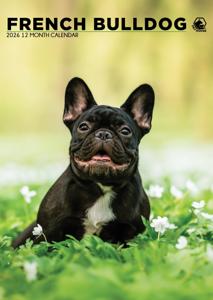 Franse Bulldog A3 Kalender 2026