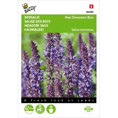 Salvia, Bossalie New Dimension Blue