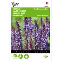 Salvia, Bossalie New Dimension Blue