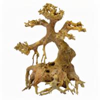 Superfish Bonsai Driftwood XS - Uniek Aquarium Hout voor Natuurlijke Decoratie