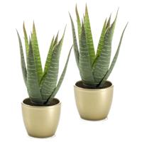 Kunstplant Aloe Vera - 2x - groen - in gouden pot - 23 cm