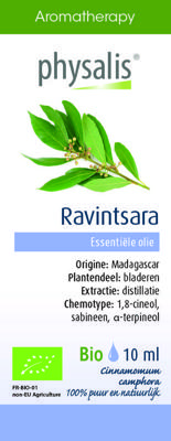 Physalis Ravintsara bio