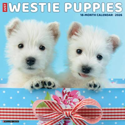 West Highland White Terrier Puppies Kalender 2026 West Highland White Terrier Puppies Kalender 2026
