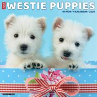 West Highland White Terrier Puppies Kalender 2026
