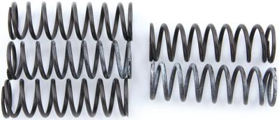 TRW Clutch spring kit mef313-6