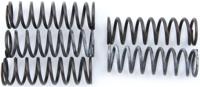 TRW Clutch spring kit mef313-6