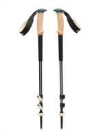 Trekkingstokken BLACK DIAMOND Trail Cork Trekking Poles laurel green