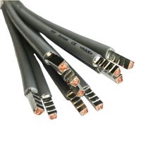 SEP bedrading 10mm2 l=250mm grijs 105gr. voorzien van adereindhulzen