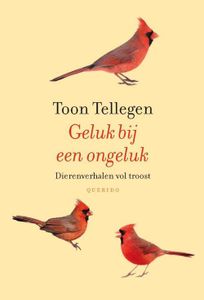 Geluk bij een ongeluk - Toon Tellegen - ebook