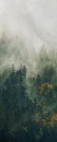 Noordwand Komar Pure Fotobehang Tales of the Carpathians - PSH036-VD1